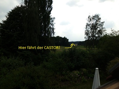 Castor